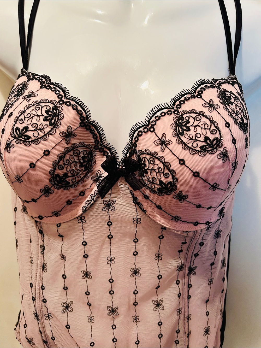 Blush Brand Lace-Embroidered Pink Bustier Size Large